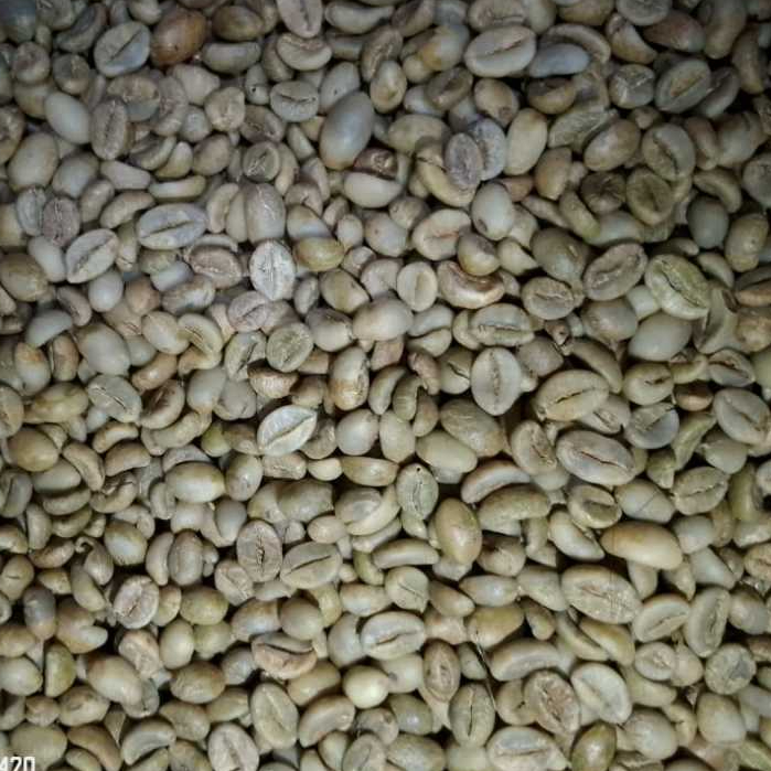 

500Gr Greenbean Robusta Gemawang Temanggung ''Grade 1''