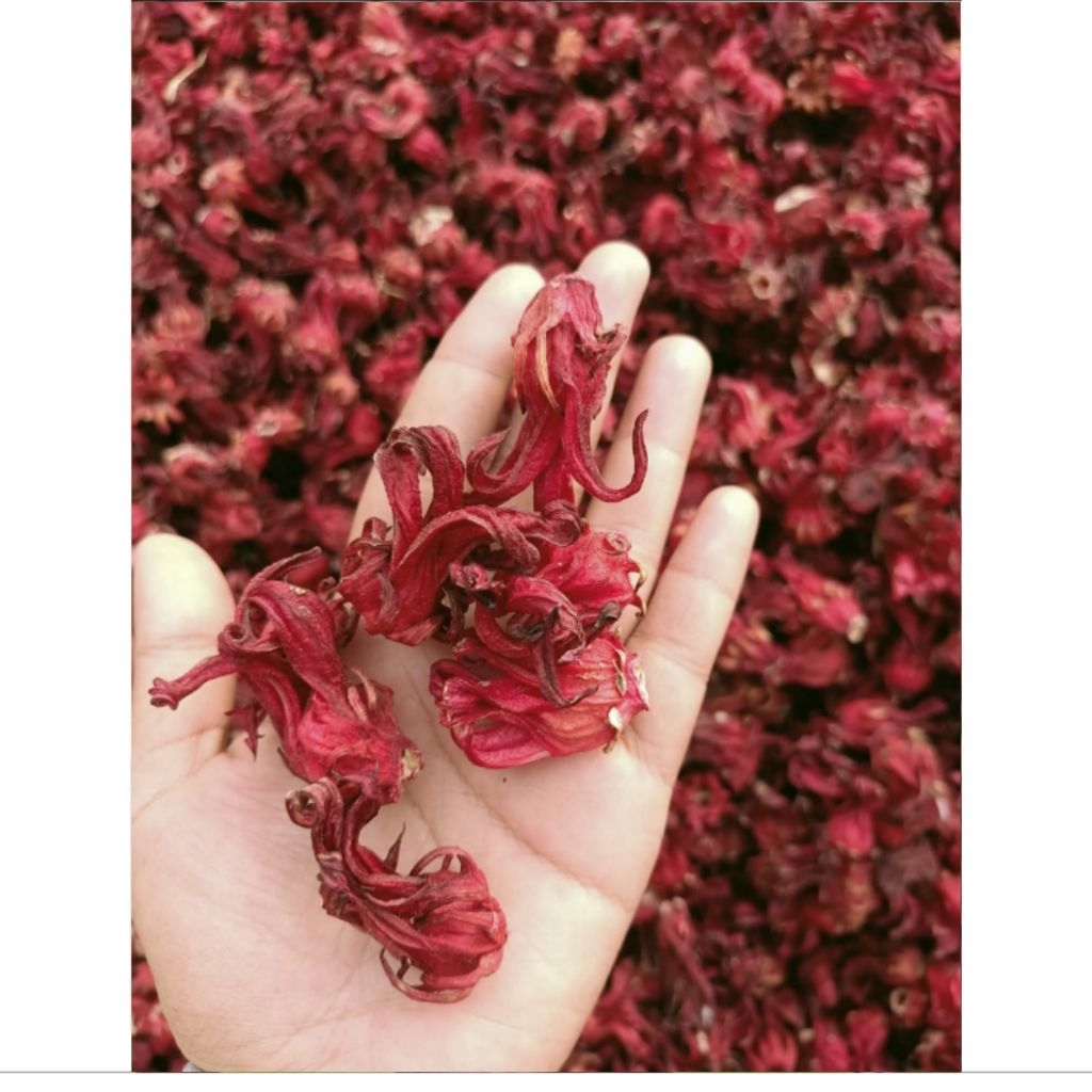 

500 gram Bunga Rosela Merah Kering Kualitas super panen baru langsung dr petani