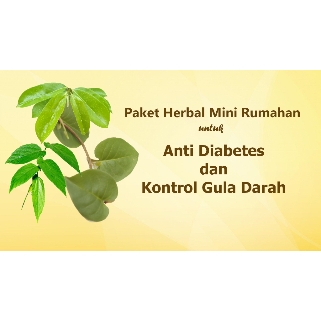 

Paket Herbal Mini Rumahan untuk Anti Diabetes dan Kontrol Gula Darah