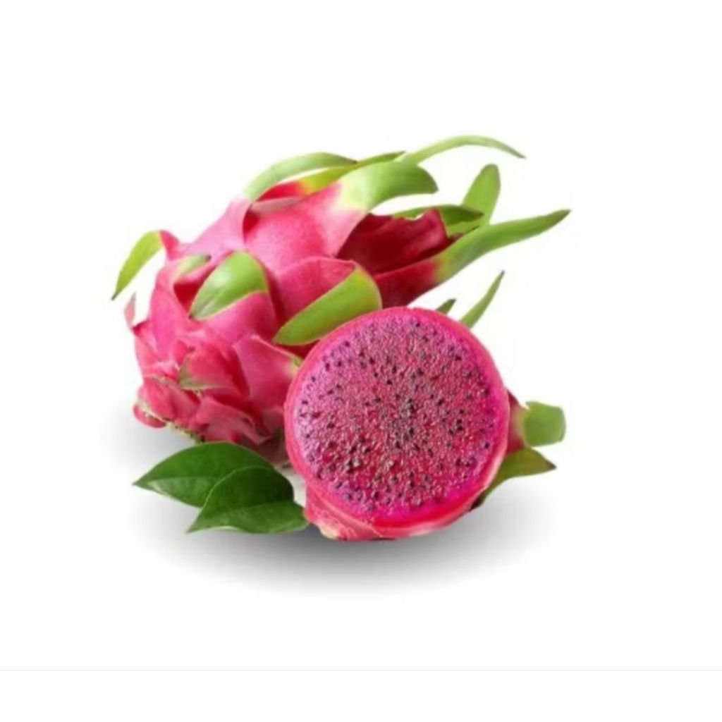 

Buah naga segar 1 buah..