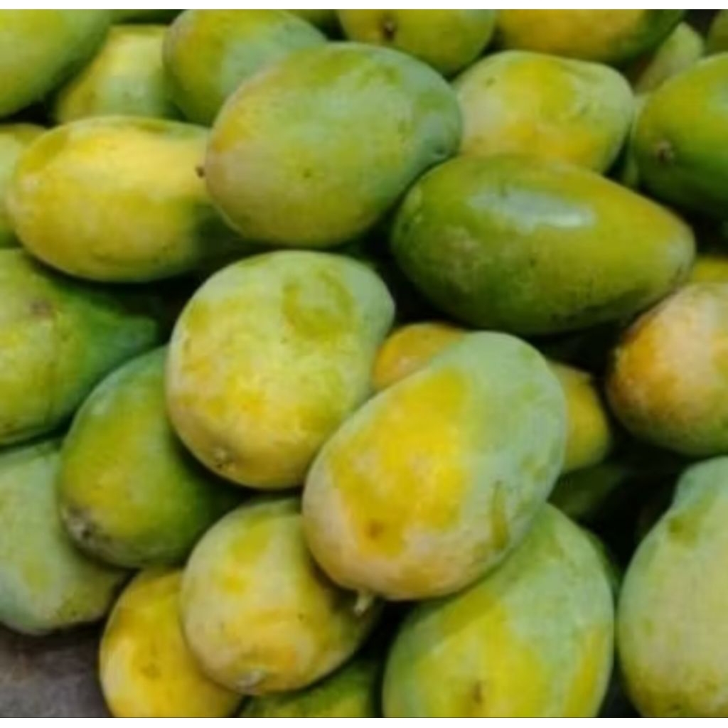 

Buah mangga harum manis 1kg..