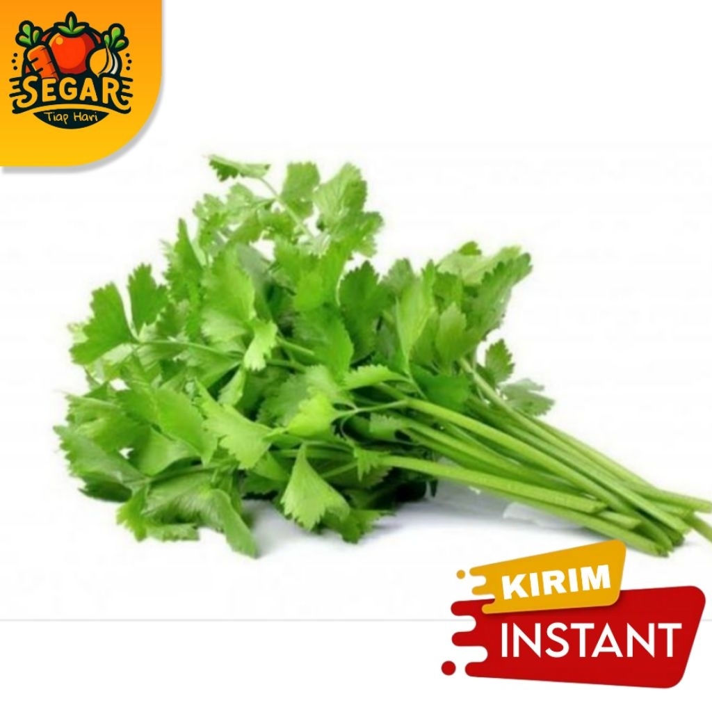 

SEGAR TIAP HARI | DAUN SELEDRI | SLEDRI - 100GR