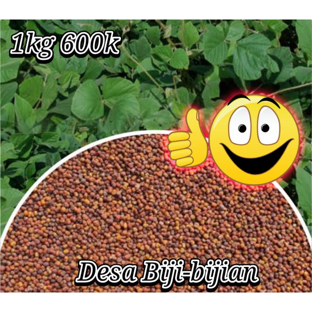 

Pueraria Javanica pj