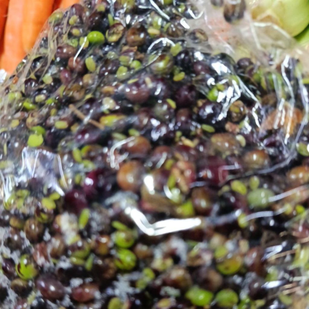 

SAYUR UNDIS BIJI UNDIS SEGAR SAYUR SEGAR