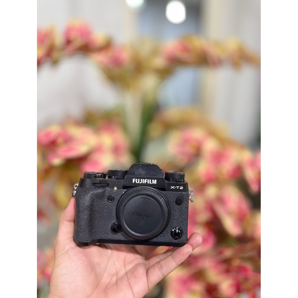 fujifilm xt2 bukan fujifilm xt3 bukan fujifilm xt4