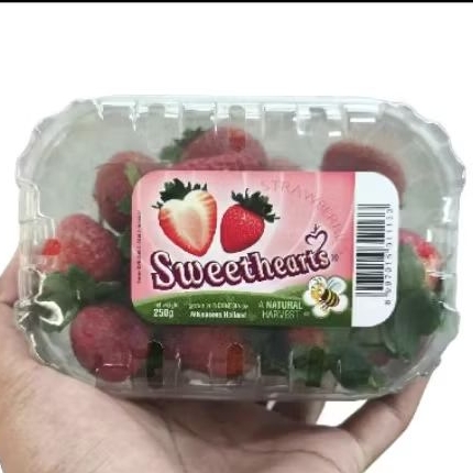 

Buah strawberries harvest strawberry lokal sweet hearts 250 gram