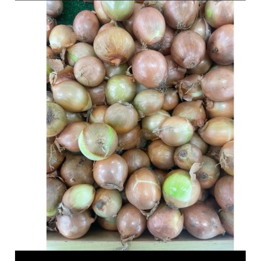 

Bawang Bombay Putih fresh 1kg