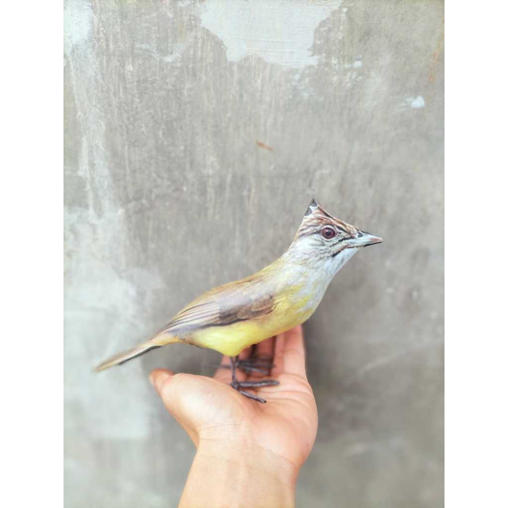 PATUNG JONTROT BURUNG CUCAK JENGGOT - JONTROT BURUNG CUCAK JENGGOT MIRIP ASLI