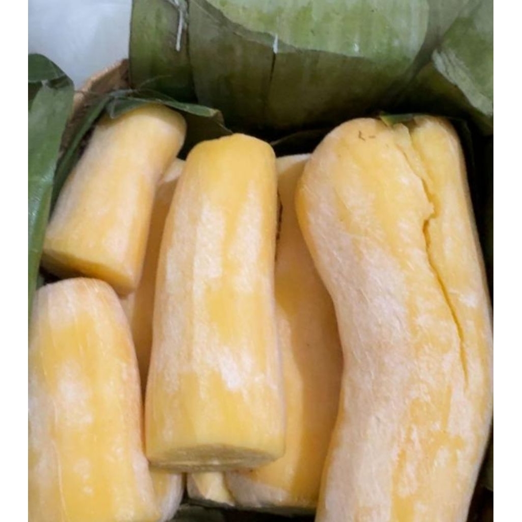 

Tape singkong mentega bandung