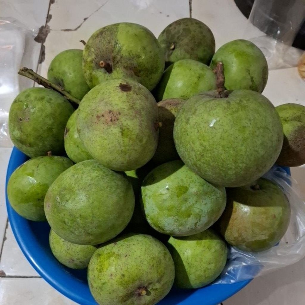 

Mangga muda Mangga apel 1 kg