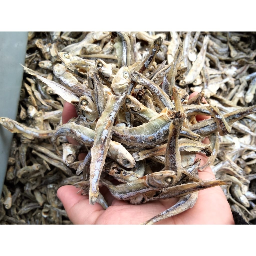 

Ikan Teri Besar / Ikan Teri Jengki / Ikan Teri Kasar / Ikan Asin Teri / Teri Pulau / Teri Lokal / Teri Murah / Ikan Bilis