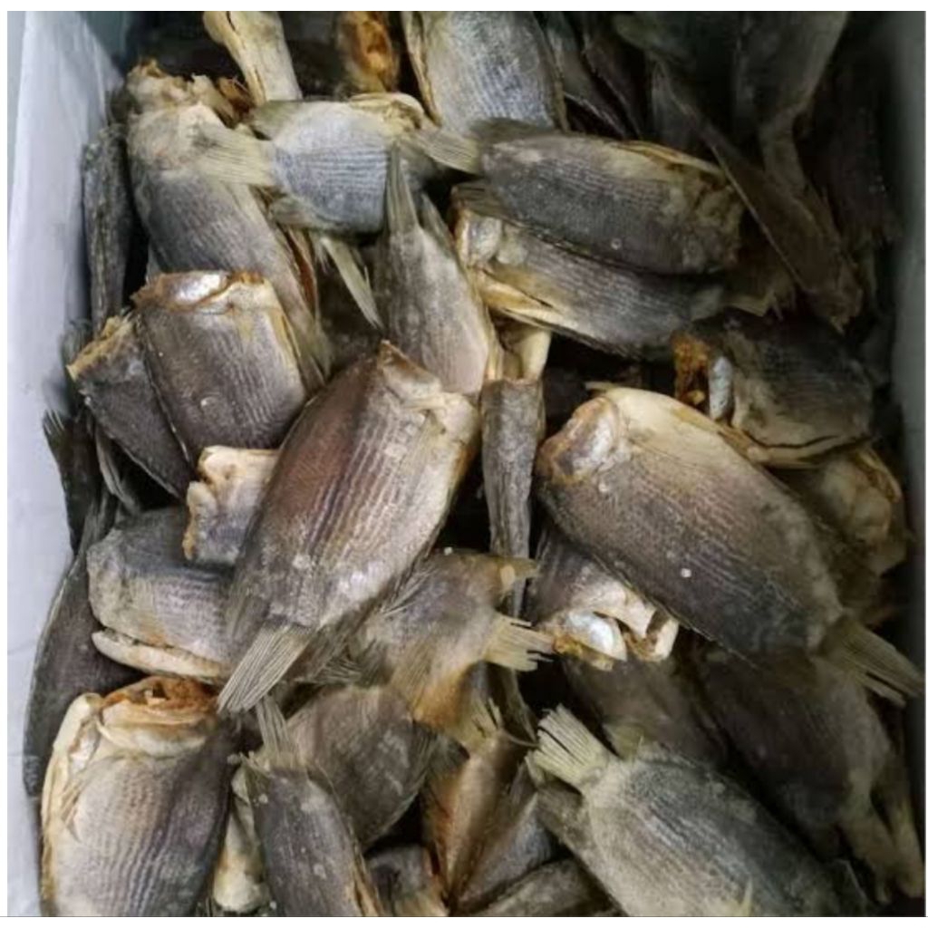 

ikan asin biawan 500gram bppn