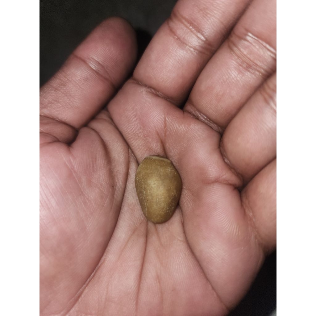 batu kuno antik langka warisan mbah unik