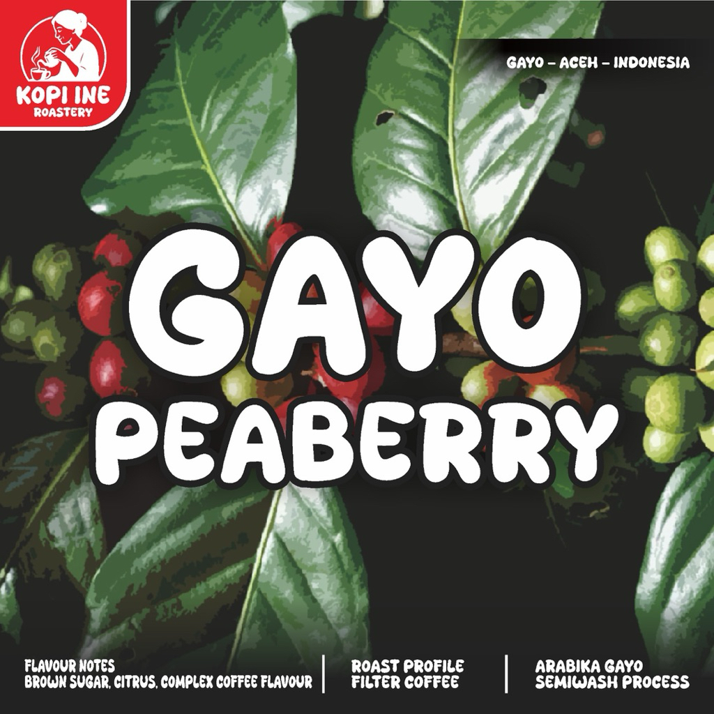 

Kopi Aceh Gayo Arabika Peaberry-Specialty Coffee