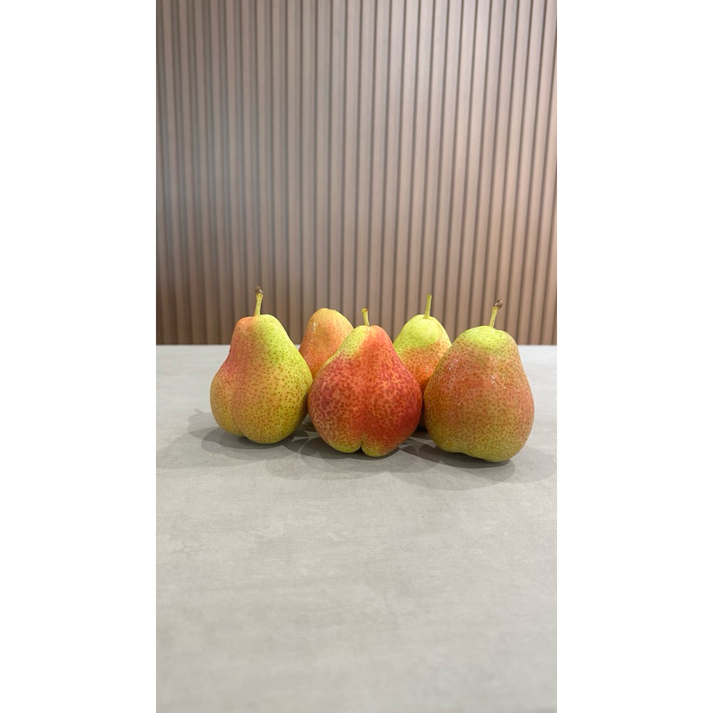 

Parpokat | Pir Jambu