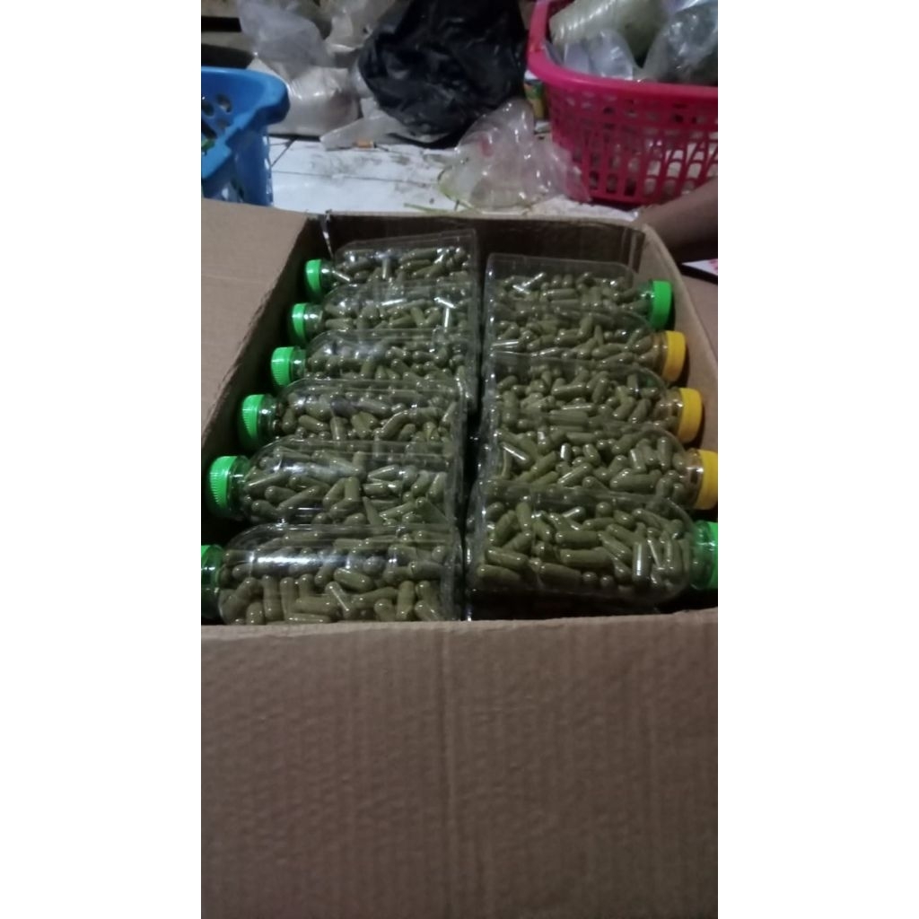 Kapsul kenikir 100 kapsul/100 butir