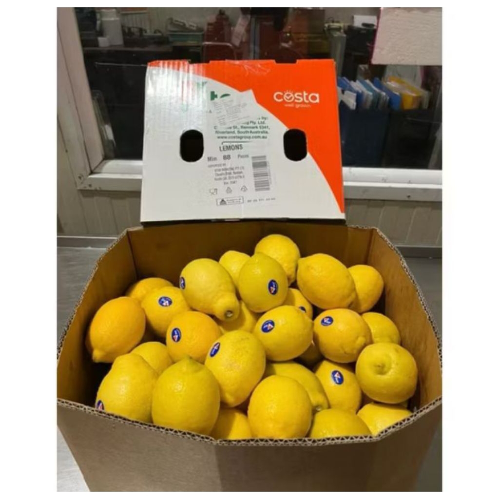 

Jeruk Navel Victor Australian 9kg / box