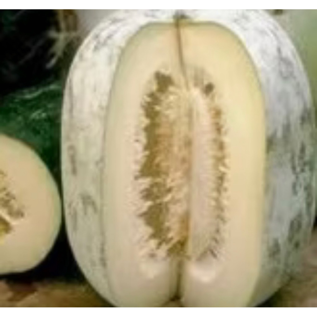 

Buah Beligo, Bligo, Kundur 2 kg, Masih segar, fresh baru petik