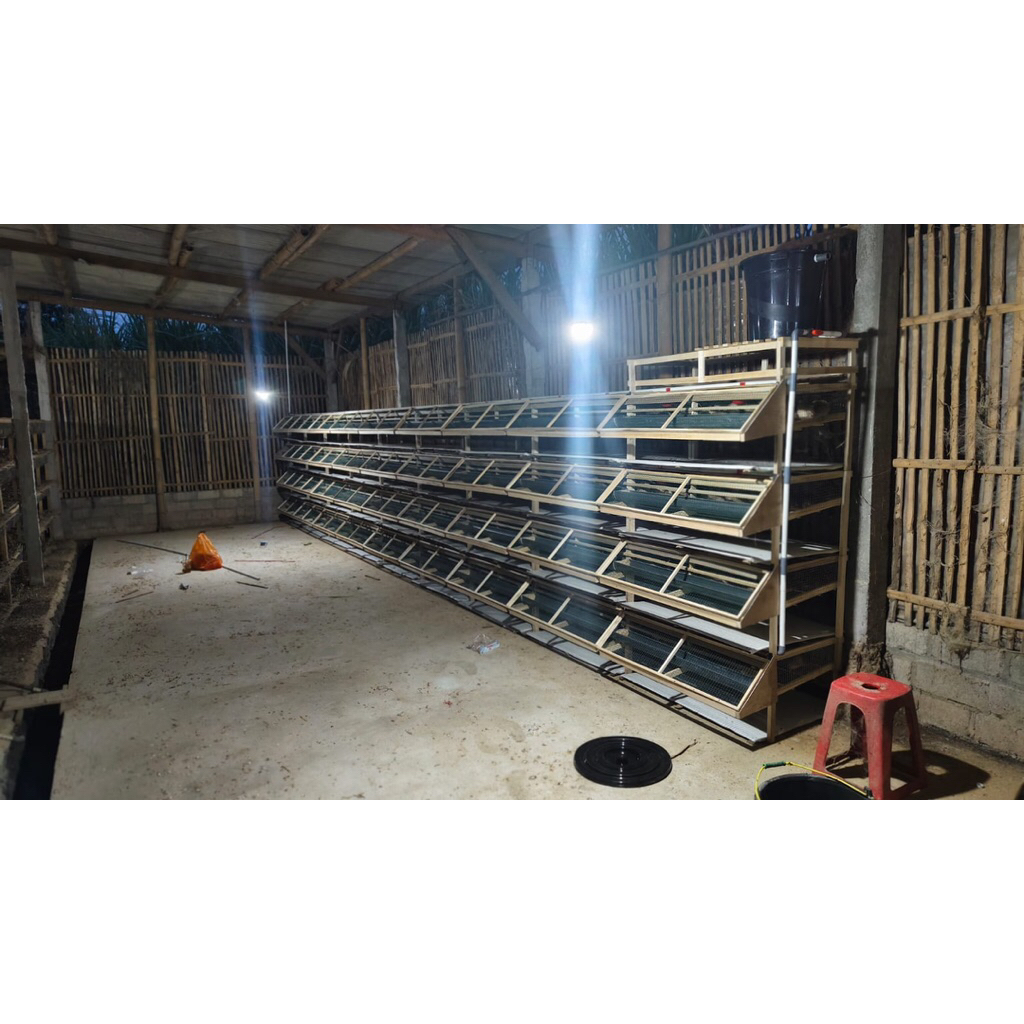 batrey / kandang puyuh petelur (ANTI TIKUS)