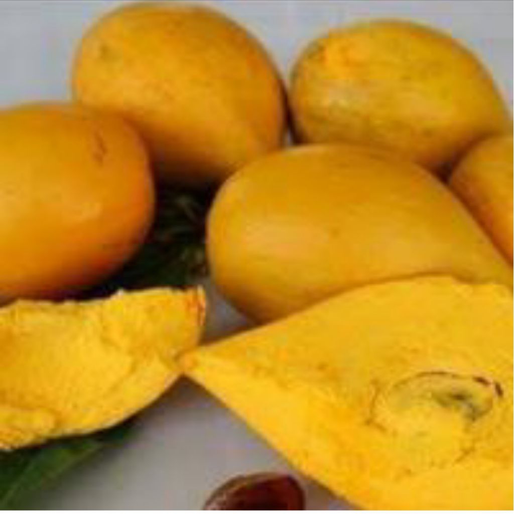 

alkesah/sawo mentega 500gr