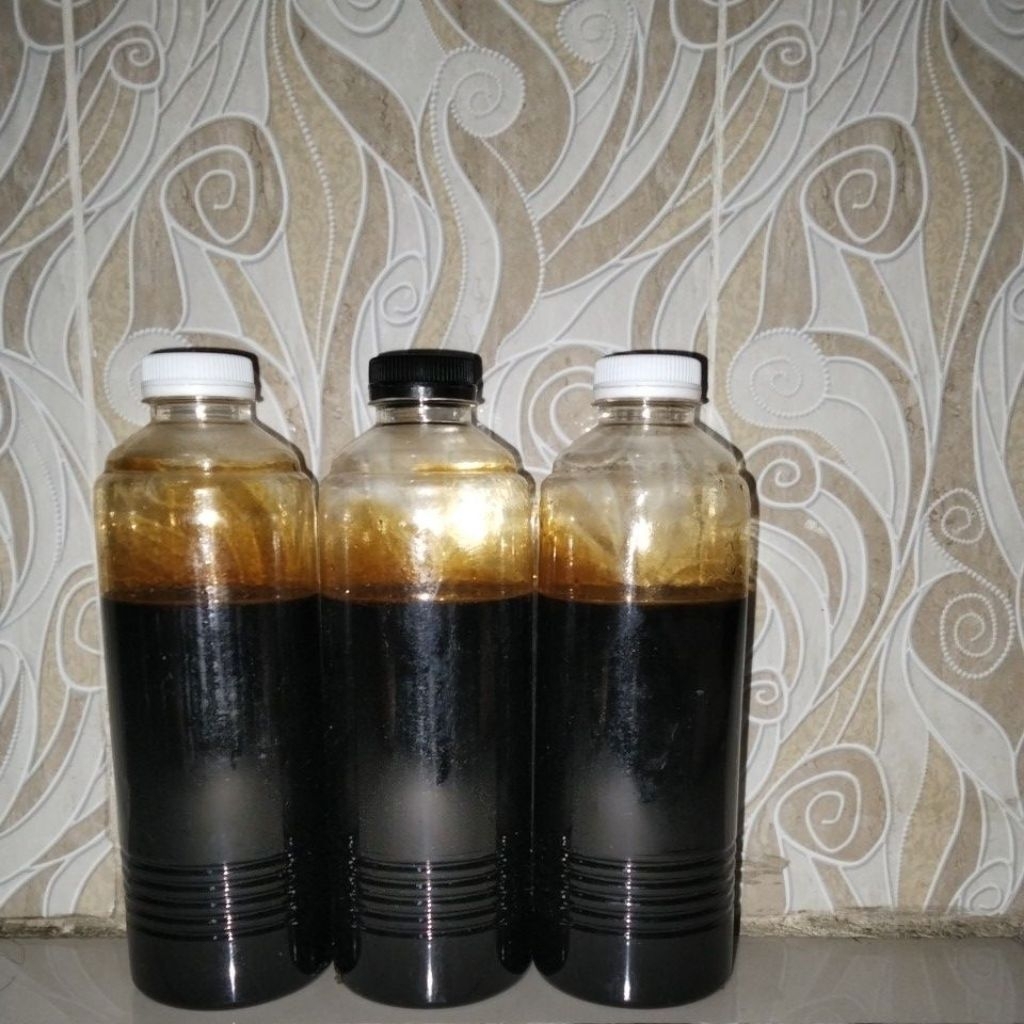 

Madu hutan asli Pekanbaru