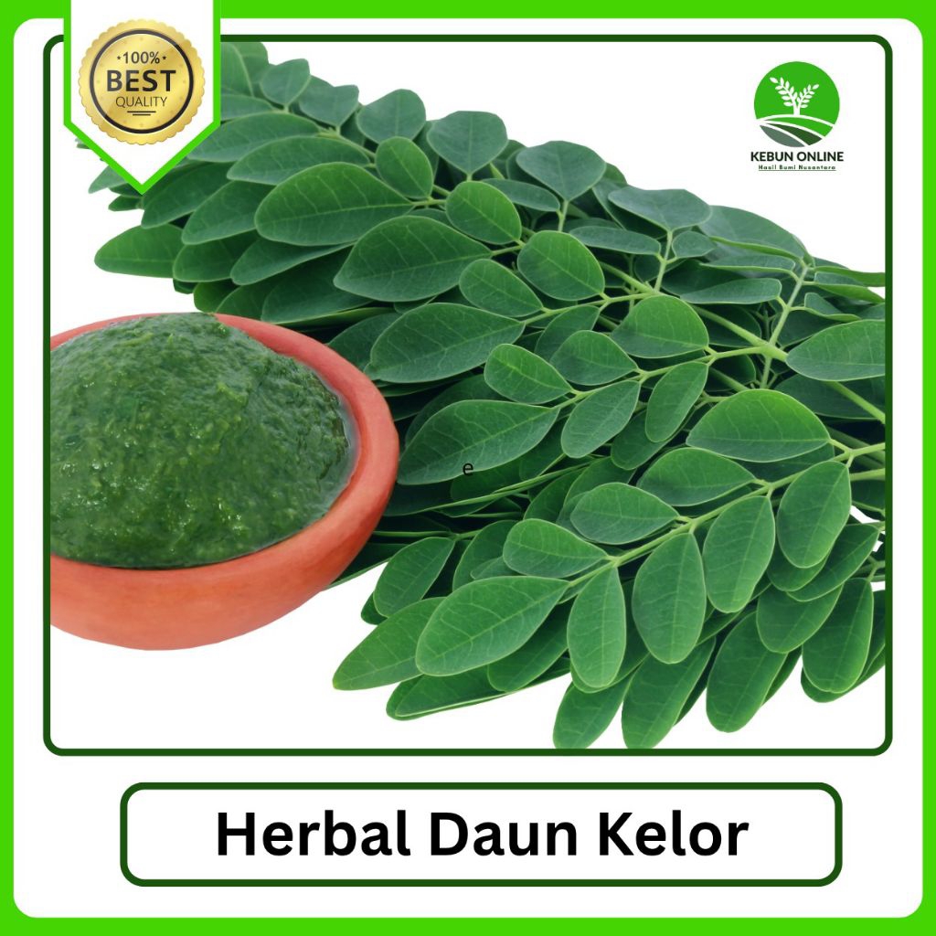 

Herbal Daun Kelor Segar Paket Irit Jaminan Kualitas Terbaik