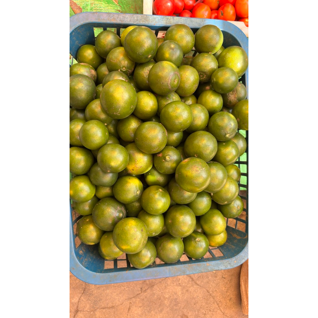 

Jeruk Peras Segar 500g/1kg