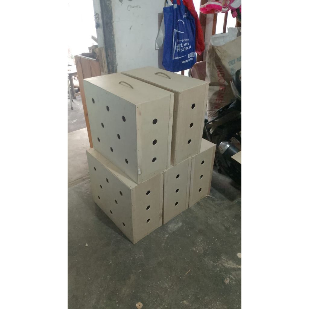 Box Kirim Ayam Bangkok (P50 x L23 x T45)