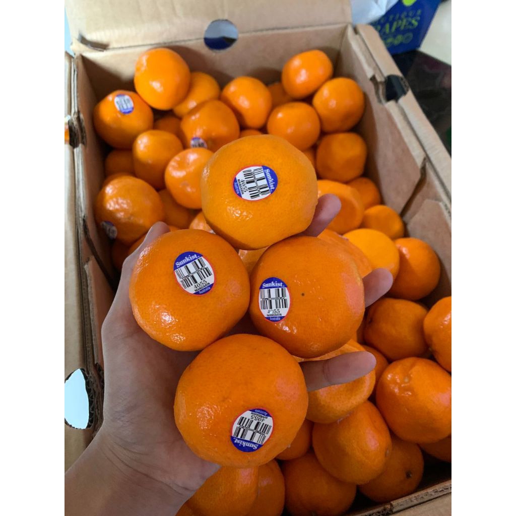 

Jeruk Imperal Manis Tanpa Biji