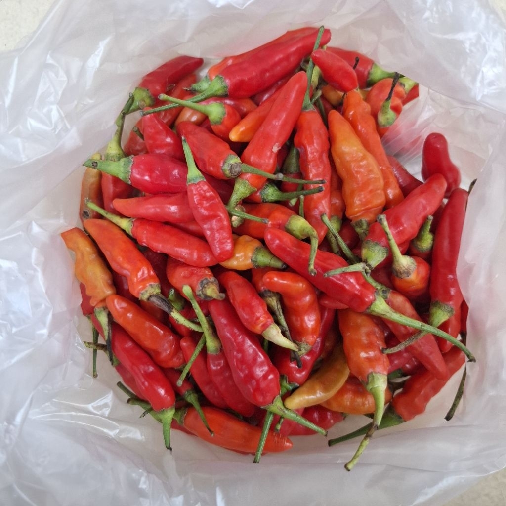 

Promo Cabe Rawit Merah 100 g / Cabai Rawit Merah 100 g / Sayur Sayuran Online Sayur Segar