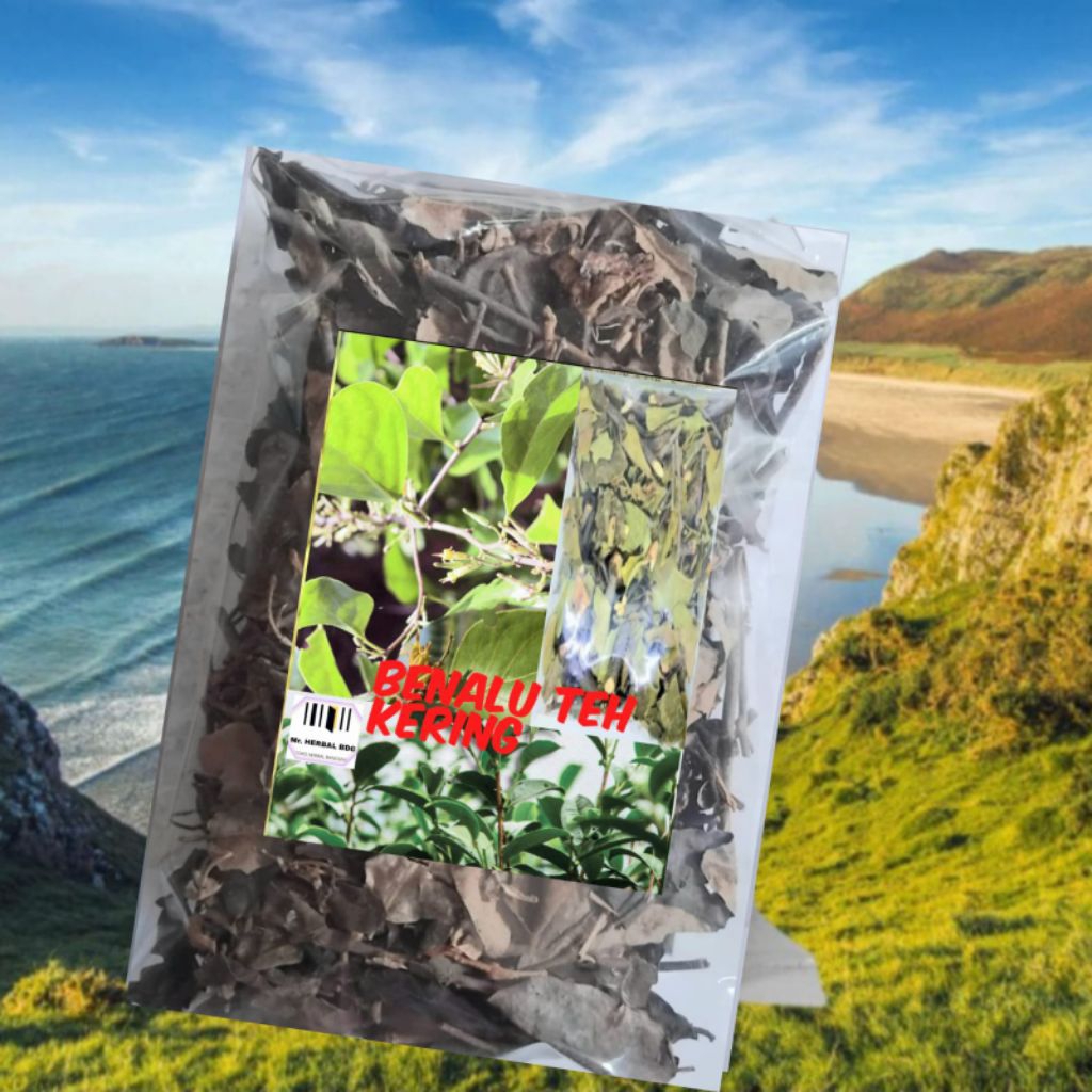 

Jual benalu teh kering original