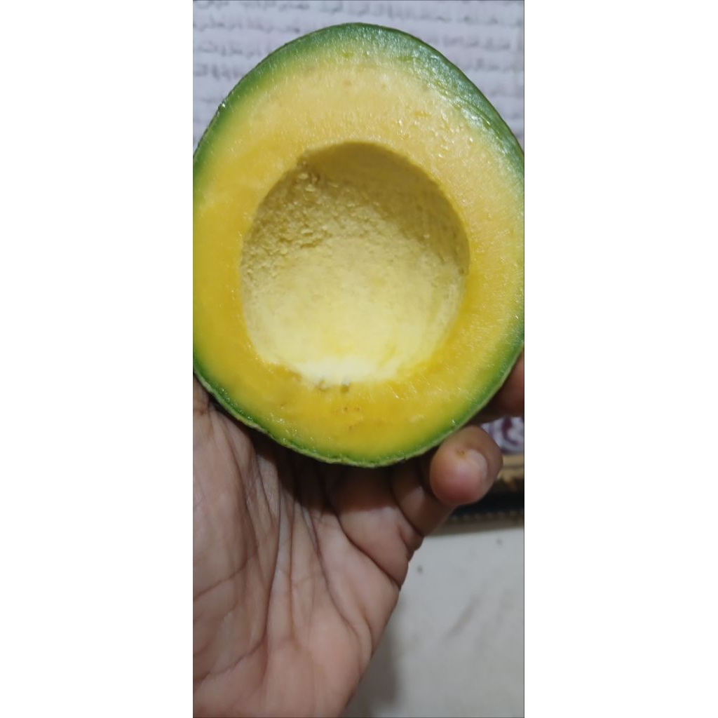 

alpukatMIKIlegitcreamy