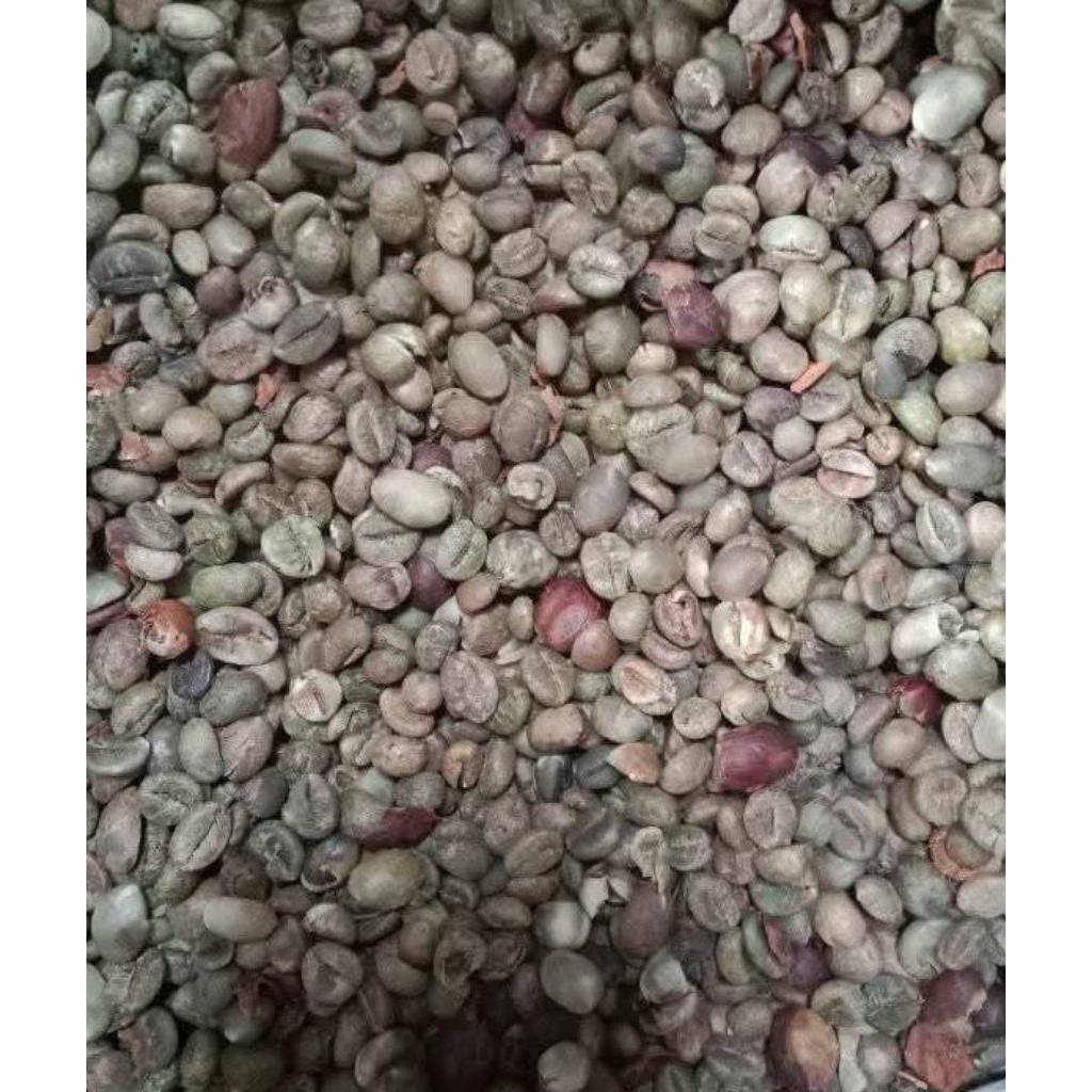 

kopi robusta petik tua has lampung per 1 kg