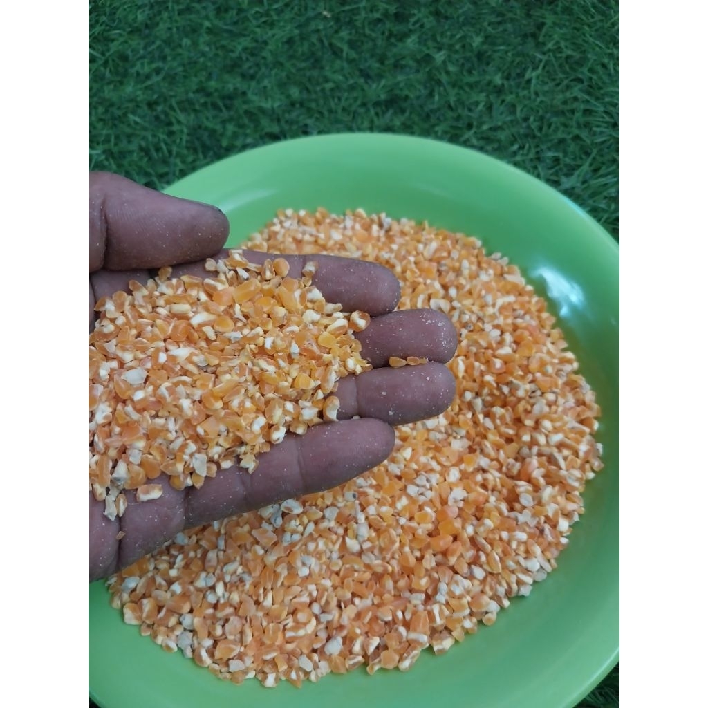 jagung giling jagung pecah jagung kering 500 gram