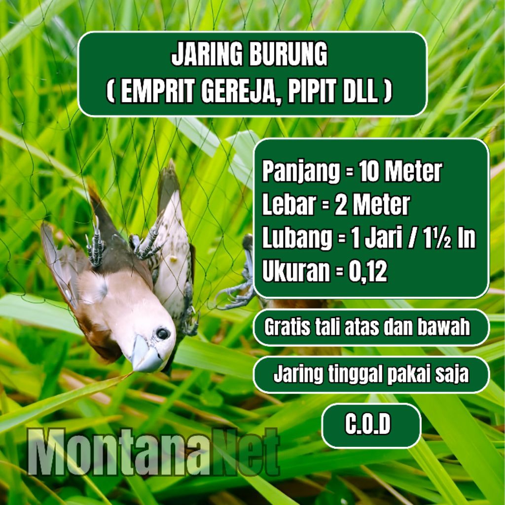 JARING BURUNG EMPRIT JARING PIPIT SIAP PAKAI JEBAKAN BURUNG SAWAH