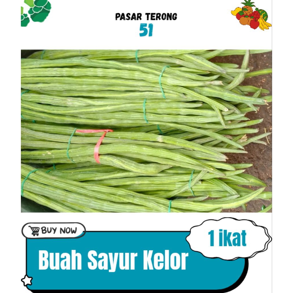 

Sayur Buah Kelor Makassar