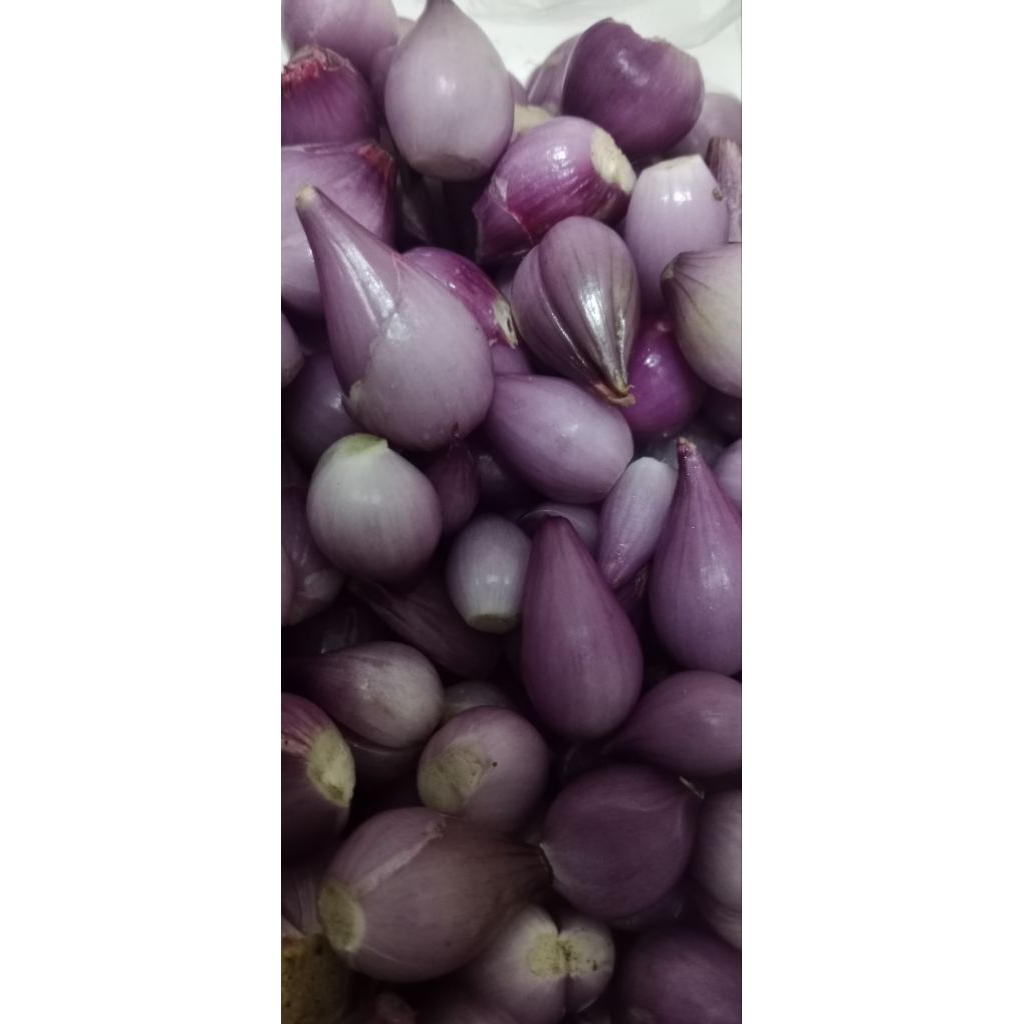 

Bawang Merah Kupas Asli Brebes