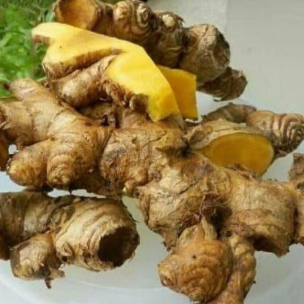 

bangle/panglay segar per 500gram