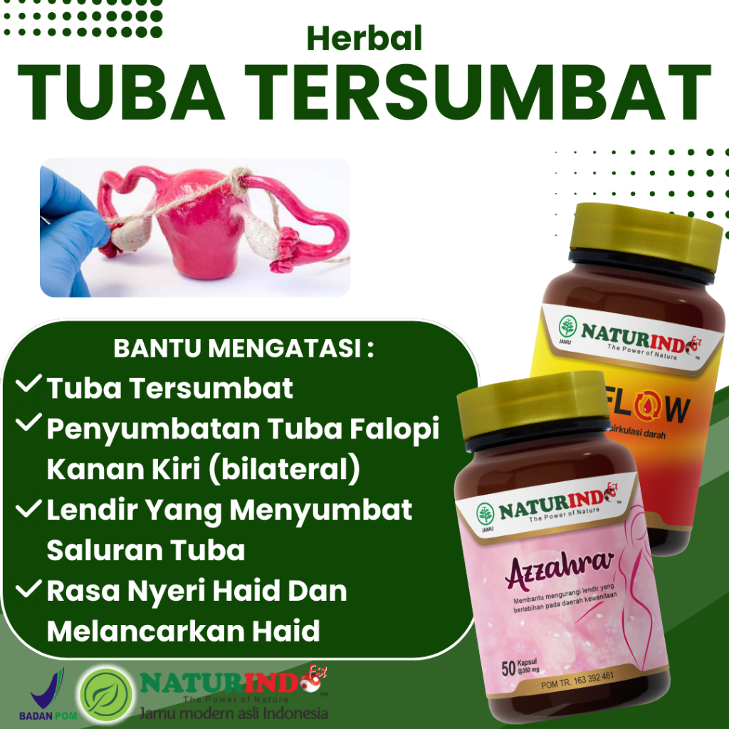 Herbal Tuba Fallopi Tersumbat Penyumbatan Saluran Tuba Fallopi Non-Paten Hidrosalping NATURINDO