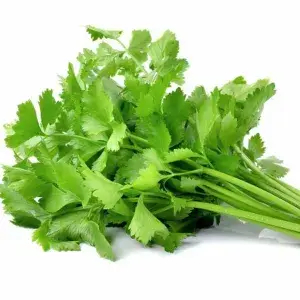 

Daun SELEDRI 50gr