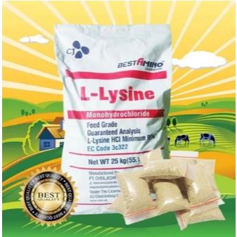 LYSINE MINI - Vitamin Ayam Aduan Penguat Tulang Ayam Aduan Penambah Stamina Ayam Petarung