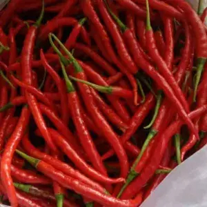 

Cabe Merah Keriting 200gr