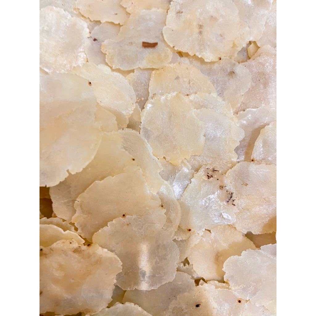 

EMPING MELINJO MURAH FULL KERING SIAP GORENG 500gr