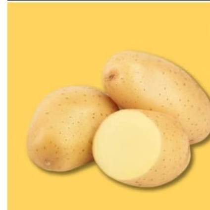 

kentang dieng 500gram