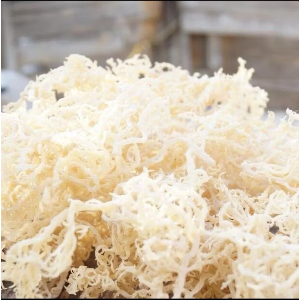 

Rumput Laut Putih 1kg Spinosim Kenyal Asli