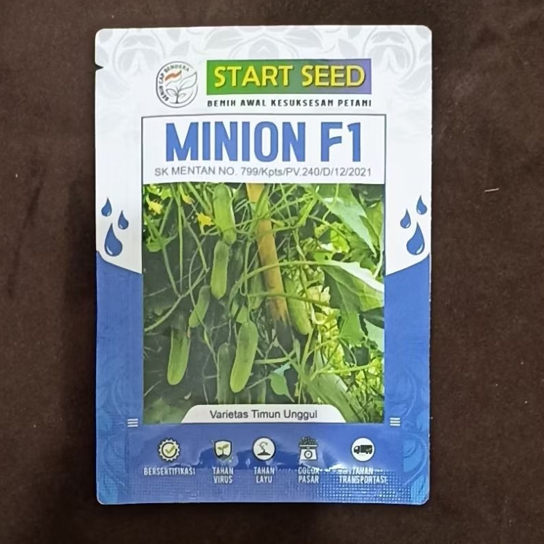 Benih Bibit Timun Lalap Tahan Virus MINION F1 Isi 20 Gram Start Seed Setara Semi Wulan