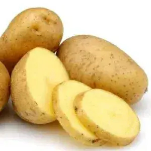 

Kentang Dieng Super Besar 1kg