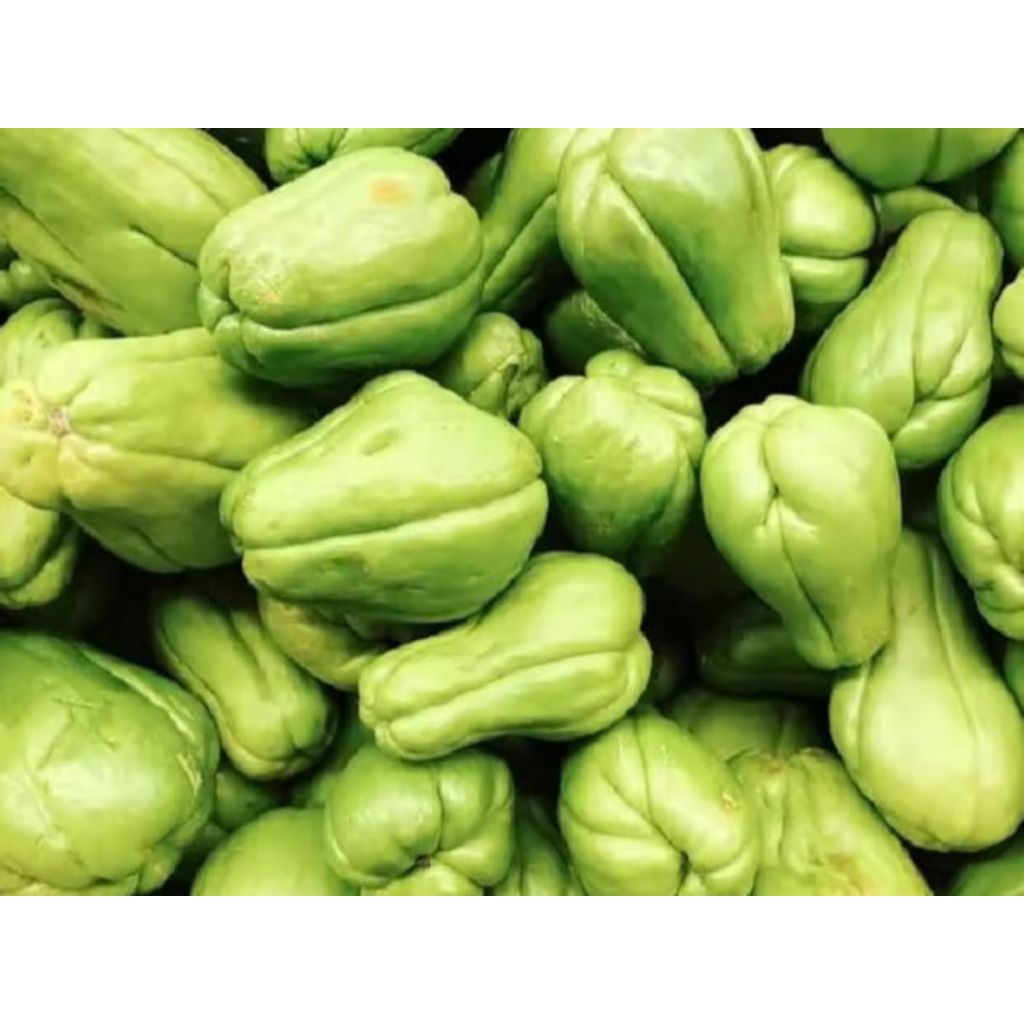 

buah labu siam segar 500 gram