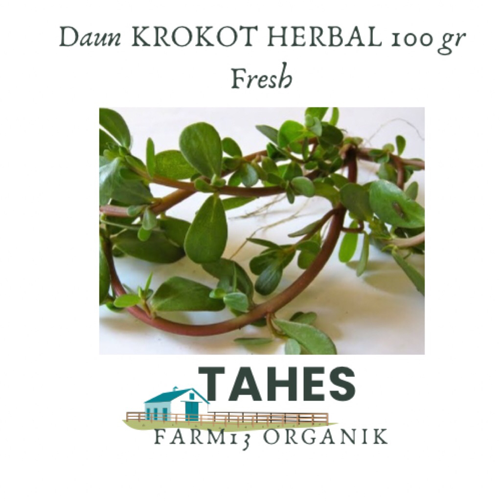 

Daun Kerokot Fresh Dari sawah Atau Kebun Tanpa Bahan kimia Full Organik