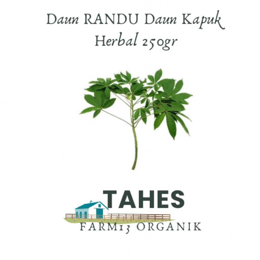 

Daun Randu Atau Daun Kapuk Kapas 250 gr Fresh Organik Tanpa Bahan Kimia